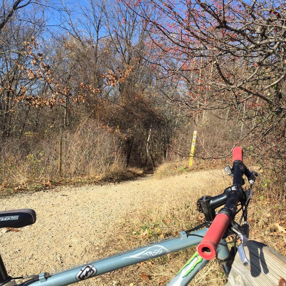 Gary Fisher Tassajara: A bicycle resting on a wooden bench near a gravel path surrounded by trees in late autumn. The scene includes bare branches, remnants of fall foliage, and a clear blue sky in the background. A trail marker is visible in the distance, indicating the path ahead.