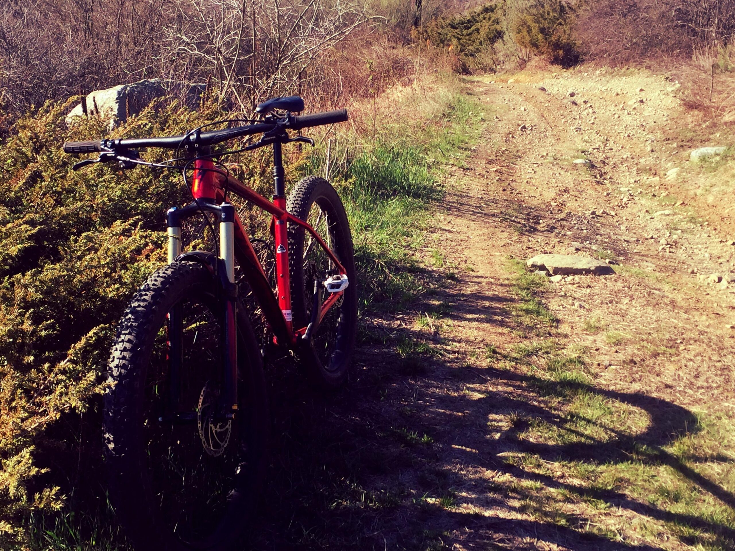 A red mountain bike leaning against a bush beside a rocky dirt trail, surrounded by sparse vegetation and trees in the background. The scene is set in a natural outdoor environment, with sunlight illuminating the bike and the rugged terrain. Rayburn Trails mountain bike trail.