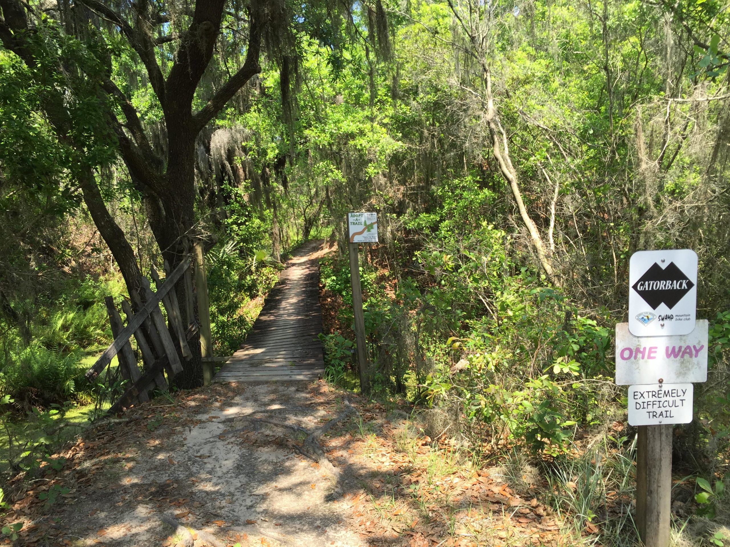 A wooden boardwalk leading into a lush green forest, surrounded by trees and plants. On the right, a sign indicates the trail is named "Gatorback," marked as an extremely difficult one-way trail. Natural sunlight filters through the canopy, creating a vibrant and inviting atmosphere. Alafia River State Park mountain bike trail.