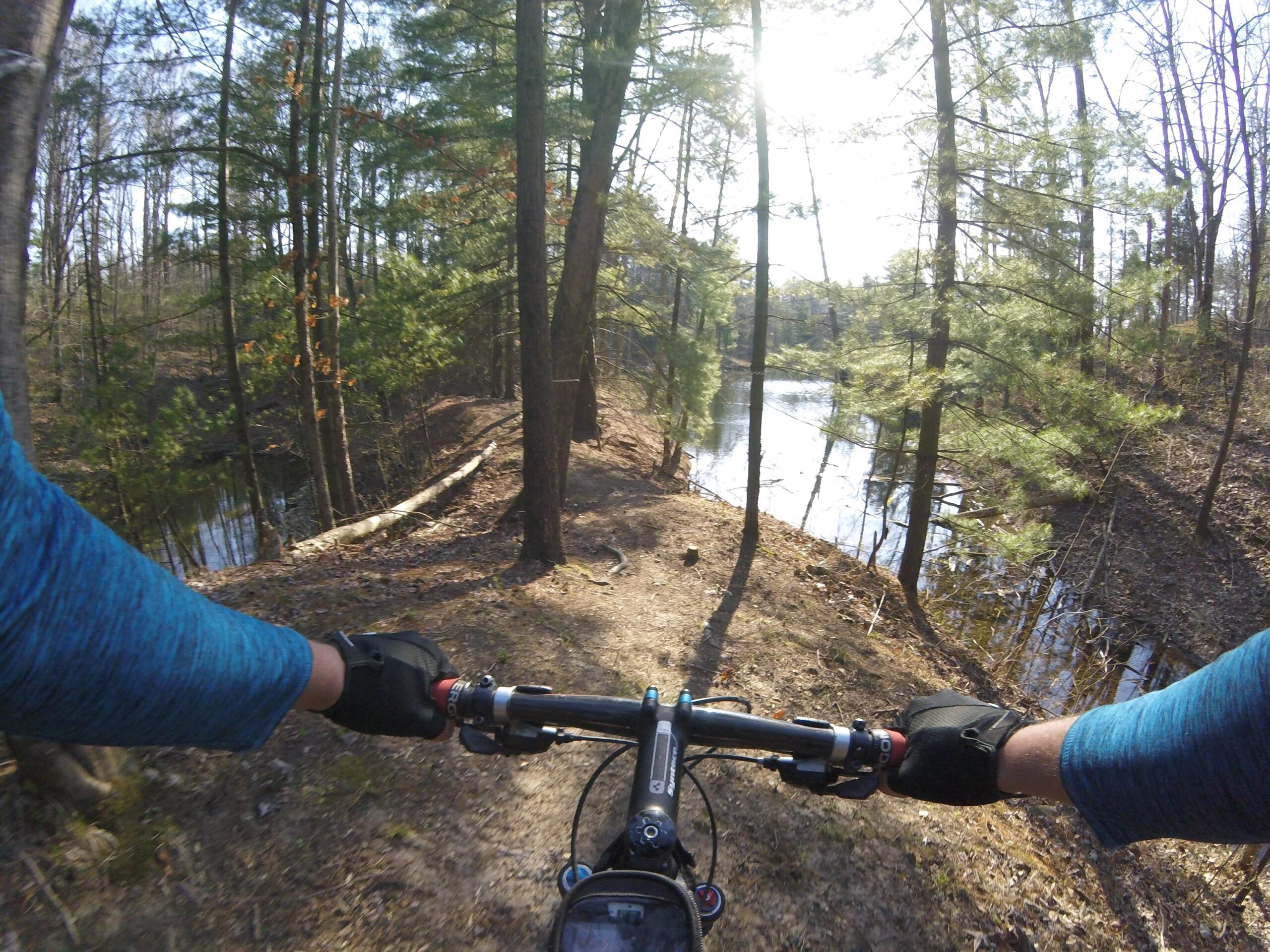 Focus Black Hills: A mountain biker's perspective on a narrow trail surrounded by trees, with a glimpse of a reflective body of water in the background, captured on a sunny day. The rider's arms are visible on the handlebars, wearing gloves and a blue long-sleeve shirt.