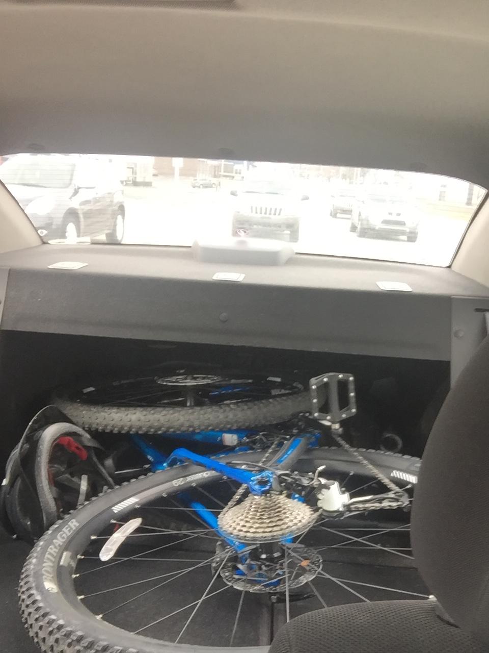 Trek Stache: A blue bicycle partially visible in the trunk of a car, with the back seat and exterior road visible through the rear window.
