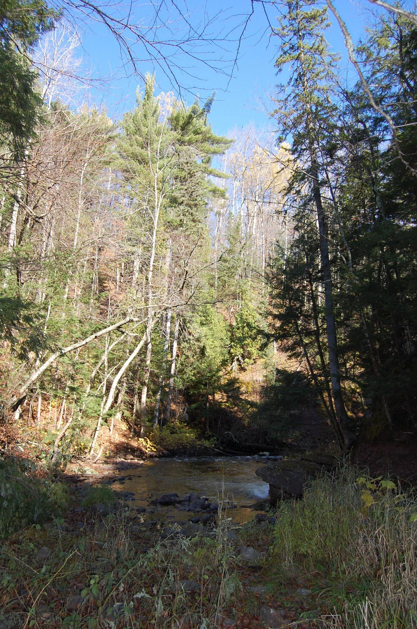 A peaceful forest scene featuring a creek surrounded by various trees, including both conifers and deciduous trees, with a clear blue sky above. The area is adorned with autumn foliage, suggesting a tranquil natural environment. Noquemanon Trails Network: South Marquette Trails mountain bike trail.