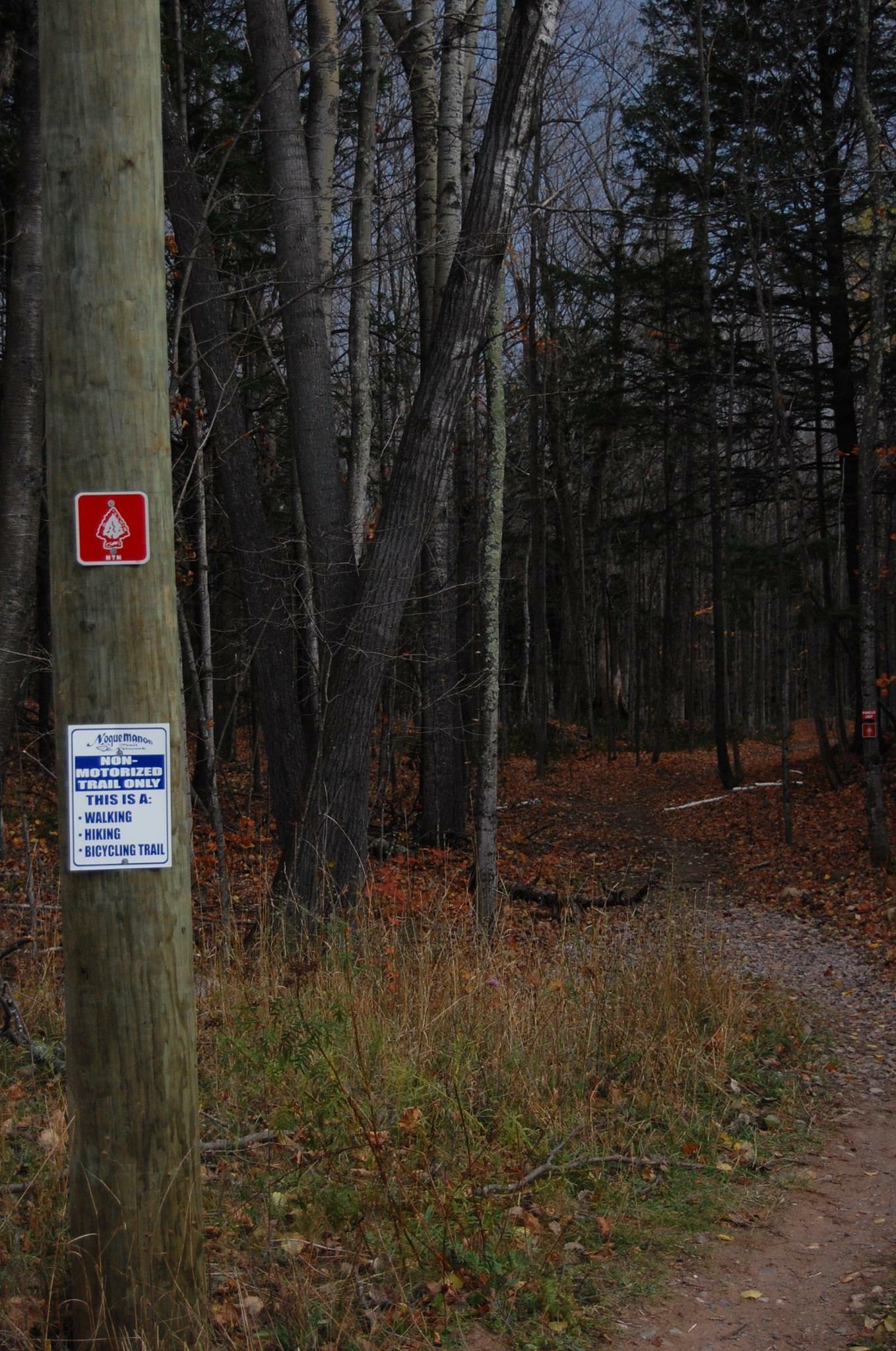 A dirt trail winding through a forest with trees, a wooden post beside the trail displaying signs indicating it is a non-motorized trail for walking, hiking, and bicycling. The environment shows autumn foliage and scattered fallen leaves on the ground. Noquemanon Trails Network: South Marquette Trails mountain bike trail.