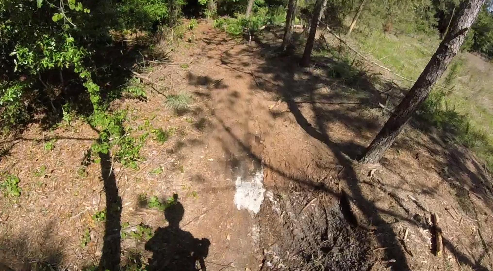 A dirt trail winding through a forest, with lush green foliage on either side and dappled sunlight filtering through the trees. A shadow of a person holding a camera is visible in the foreground, contrasting against the earthy tones of the path and surrounding vegetation. Seminole Wekiva Markham Road Trail mountain bike trail.