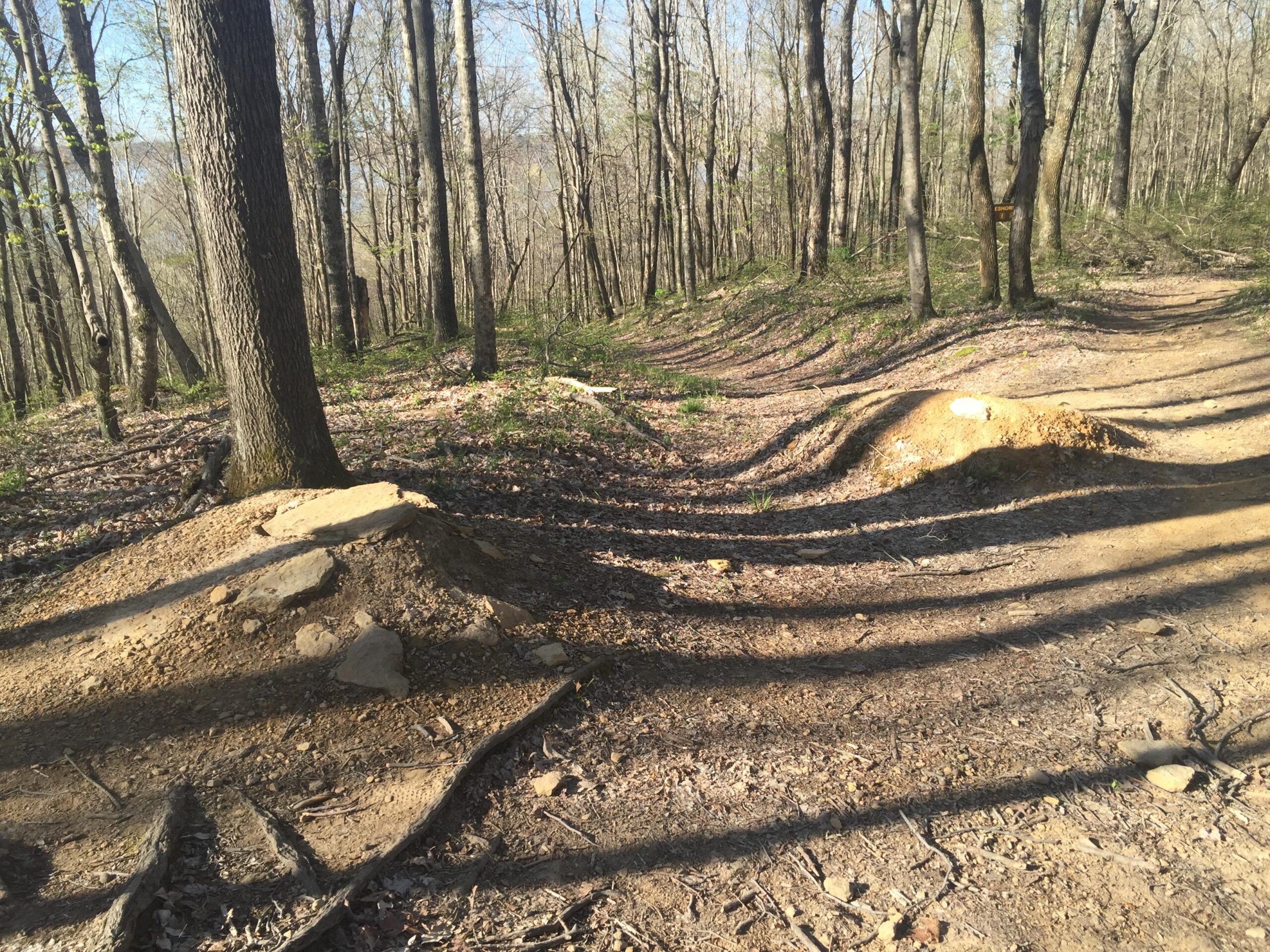 Two dirt jump mounds on a forested trail, surrounded by trees and underbrush. The sunlight casts shadows on the ground, highlighting the texture of the dirt and the surrounding leaf litter. Green River mountain bike trail.