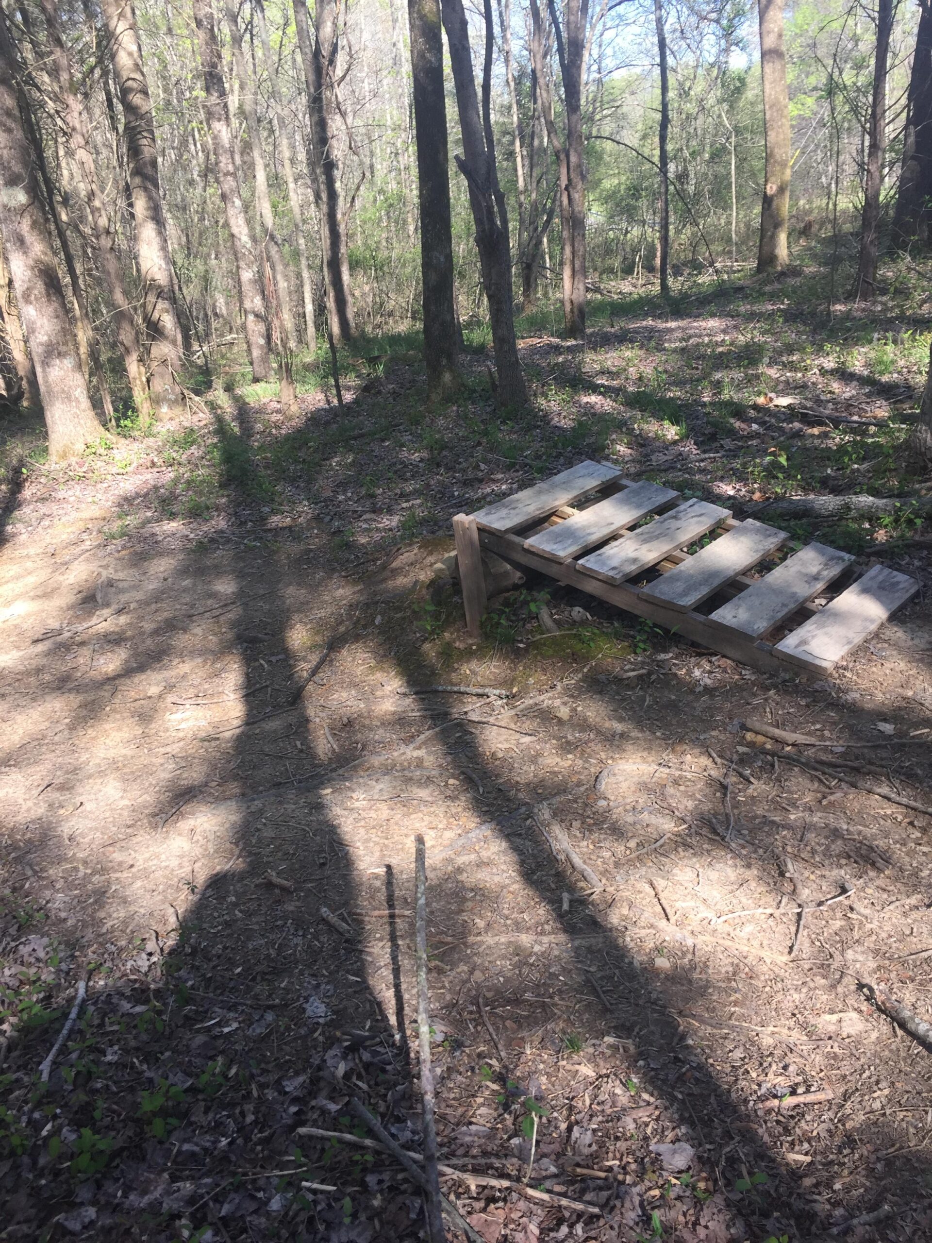 A forested area with tall trees and dappled sunlight filtering through the leaves. In the foreground, a wooden pallet is situated on a dirt path surrounded by fallen leaves and small green plants. Shadows from the trees stretch across the ground, creating a tranquil natural setting. Green River mountain bike trail.
