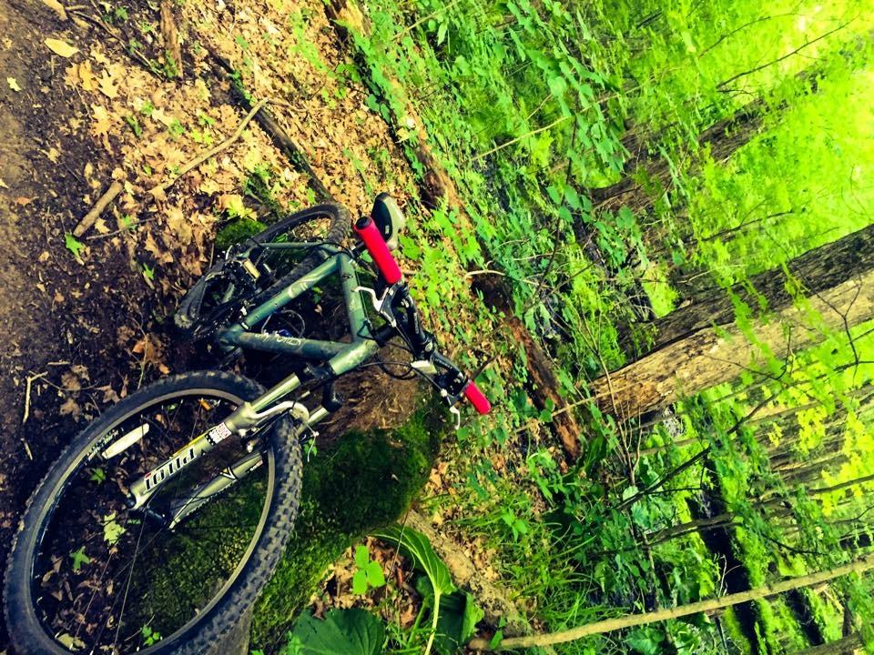 Gary Fisher Tassajara: A mountain bike leaned against a mossy rock on a dirt path surrounded by lush green foliage and trees. The scene captures a serene moment in a wooded area, emphasizing the bike and the natural environment.