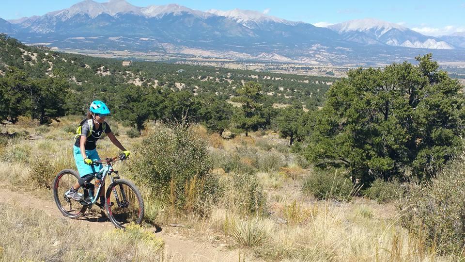 A mountain biker rides along a dirt trail surrounded by greenery, with a backdrop of rugged mountains and a clear blue sky. The cyclist, wearing a bright blue helmet and matching attire, navigates through the landscape under the bright sun. Methodist Mountain mountain bike trail.