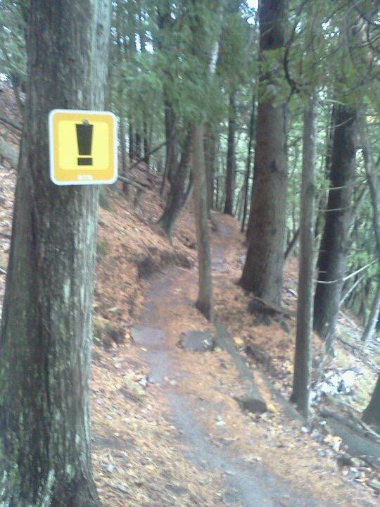 A narrow dirt trail winding through a forest of tall trees, with a warning sign indicating the presence of a potential hazard. The ground is covered in fallen leaves, creating an earthy atmosphere. Noquemanon Trails Network: South Marquette Trails mountain bike trail.