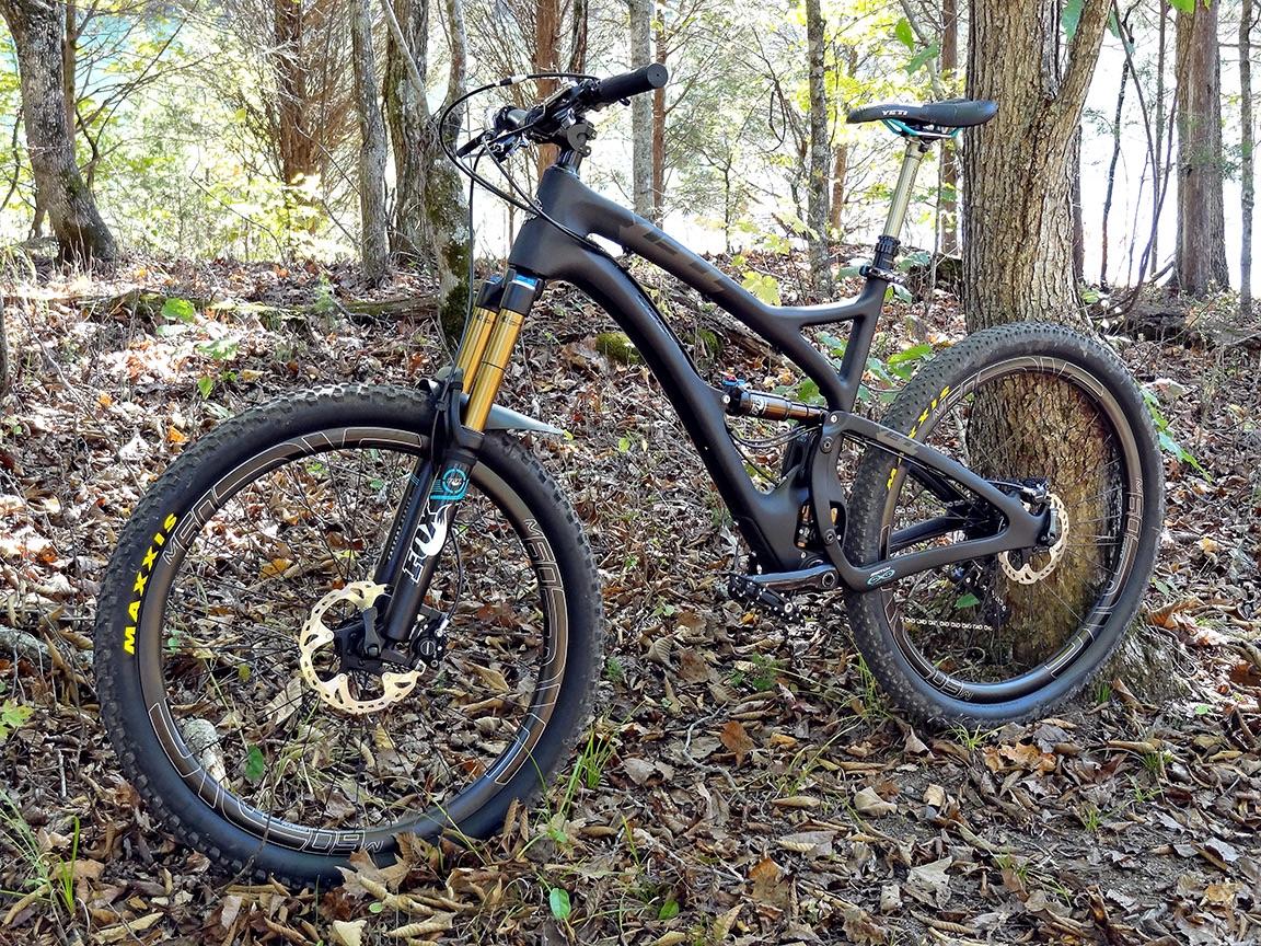 Yeti SB5c: A black mountain bike with gold suspension forks, resting against a tree in a forested area covered in fallen leaves. The bike features large tires with "Maxxis" branded sidewalls and hydraulic disc brakes, surrounded by greenery and sunlight filtering through the trees.