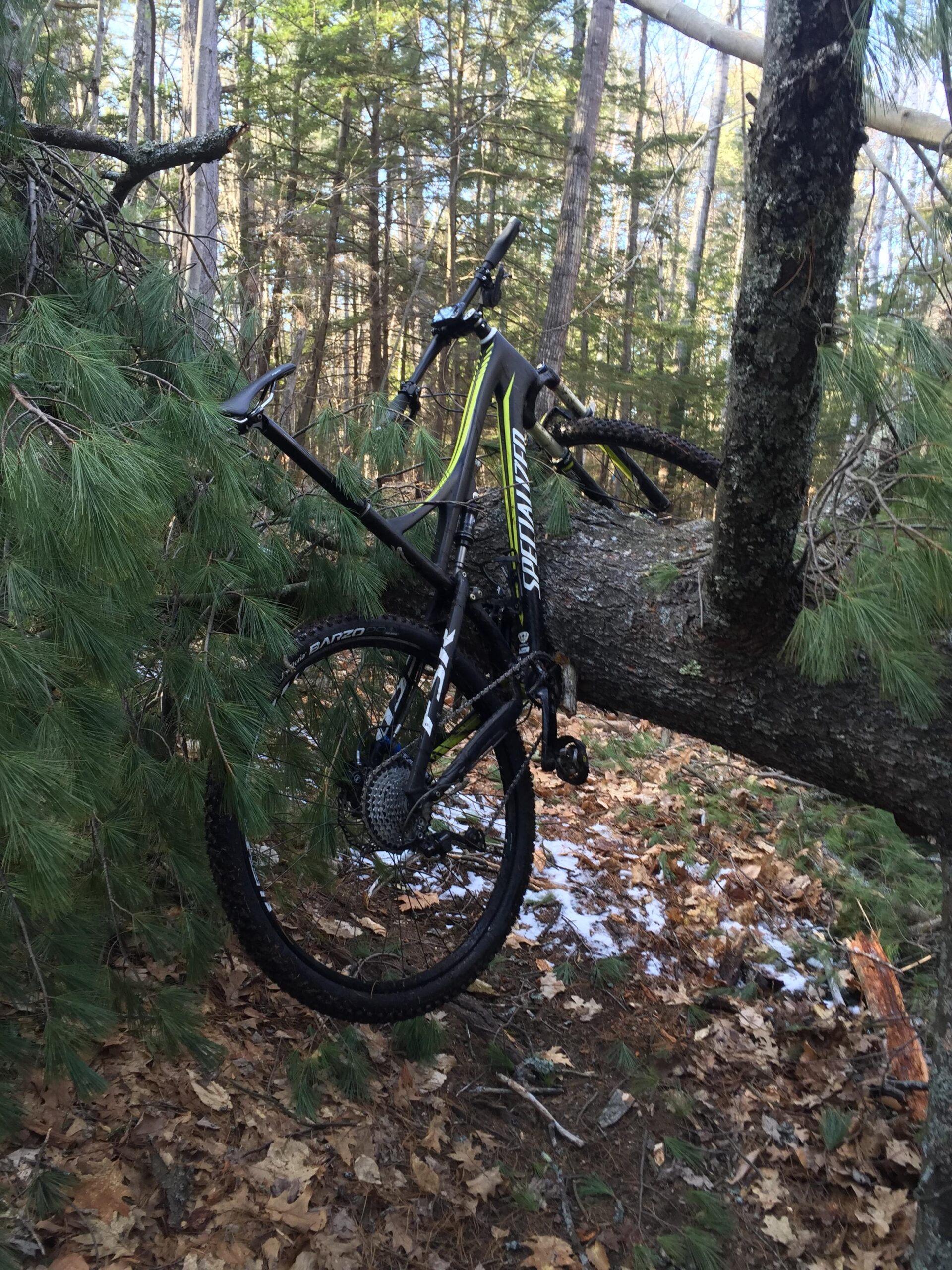 Specialized EPIC COMP CARBON: A mountain bike is leaning against a fallen tree in a forested area, surrounded by pine branches and leaves on the ground. Snow can be seen in patches on the forest floor, indicating a mix of seasonal conditions. Sunlight filters through the trees in the background.