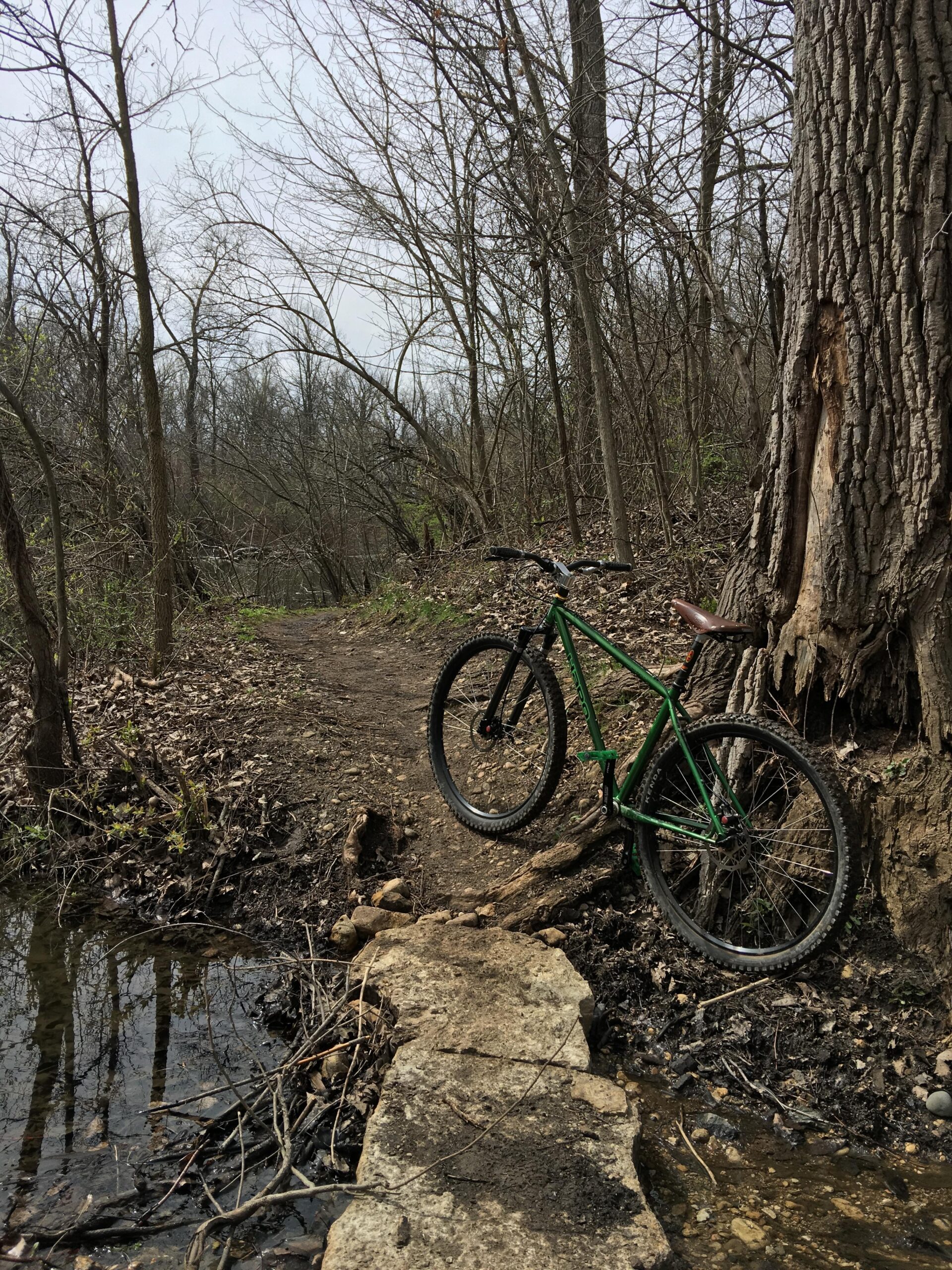 Haro Mary SS: A green mountain bike is parked beside a dirt trail in a wooded area, with a large tree on the right and a small creek visible along the left side. The scene features bare trees and scattered leaves, indicating early spring.