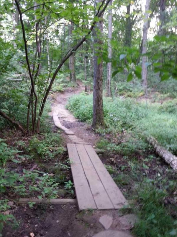 A winding dirt path through a lush forest, featuring a wooden bridge that crosses a small creek. Tall trees and dense foliage surround the trail, creating a serene natural atmosphere. Central Park mountain bike trail.