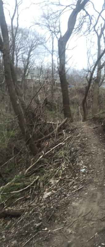 A narrow dirt path winding through a dense area of trees and underbrush, with bare branches and scattered leaves. The scene appears somewhat overcast, creating a moody atmosphere. In the background, the outlines of structures can be faintly seen through the trees. Stephens Park mountain bike trail.