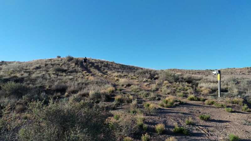 A sunlit landscape featuring a gentle hill covered in sparse vegetation and grasses, with a path winding up the slope. In the foreground, shrubs and small plants are visible, and a trail marker stands along the path. The sky is clear and blue, indicating a bright day. A person can be seen walking up the hill in the distance. Elena Gallegos Open Space / North Foothills mountain bike trail.