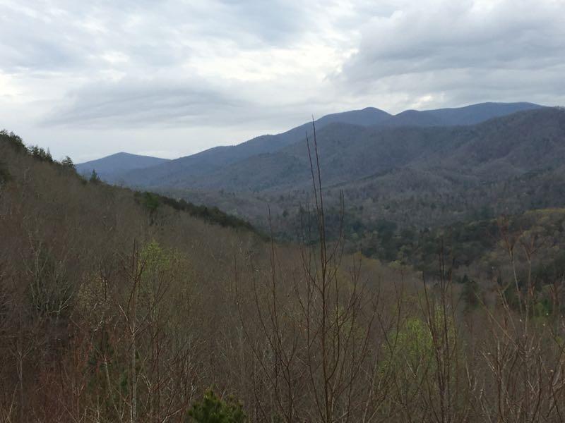 A scenic view of rolling mountains blanketed in shades of green and brown, under a cloudy sky. The foreground features bare trees, while the background showcases layered hills and ridges fading into the distance. Boyds Gap mountain bike trail.