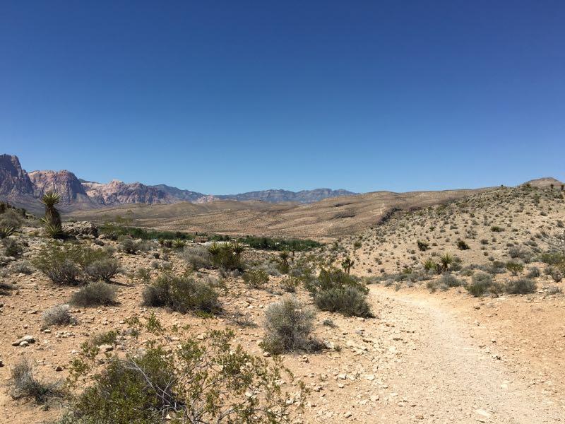 A panoramic view of a desert landscape featuring rocky mountains in the background, a clear blue sky overhead, and a winding dirt path leading through sparse vegetation and shrubs on the arid terrain. Blue Diamond mountain bike trail.