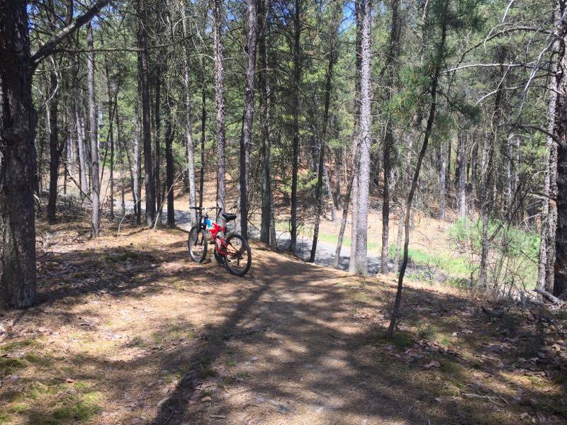 A mountain bike resting on a dirt path surrounded by tall pine trees in a forest. Sunlight filters through the branches, casting shadows on the ground. In the background, a winding trail can be seen leading through the woods. Bavington mountain bike trail.