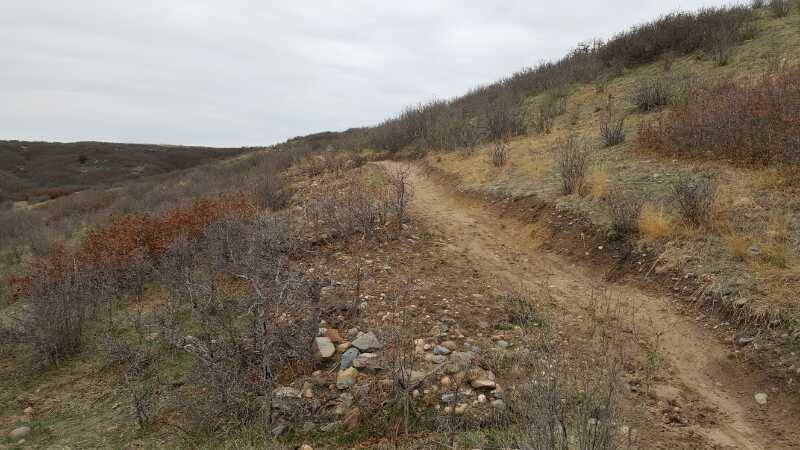 A winding dirt trail leads through sparse vegetation on a hillside, surrounded by low shrubs and rocky terrain under a cloudy sky. Hidden Mesa mountain bike trail.