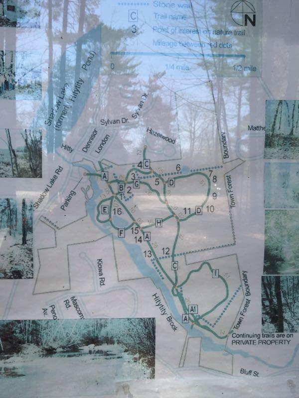 Salem Town Forest Mountain Bike Trail in Salem, New Hampshire