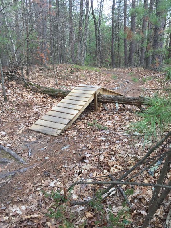 Wooden ramp built over a fallen log in a forest, surrounded by leaf-covered ground and trees. Yudicky Farm mountain bike trail.