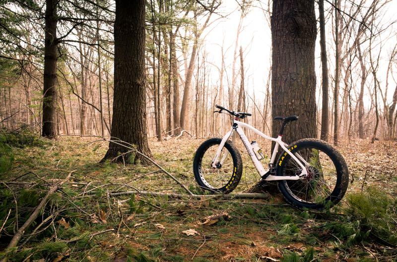 A mountain bike with thick tires is leaning against a tree in a wooded area. The scene features bare trees and scattered leaves, suggesting early spring or late fall. Sunlight filters through the branches, casting a warm glow on the bike and the surrounding forest floor. Farmdale Reservoir Recreation Area mountain bike trail.