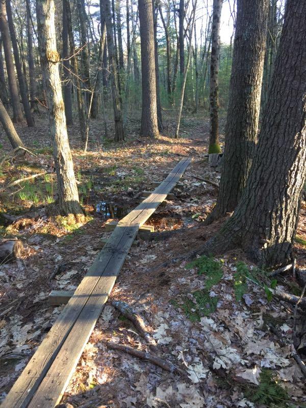 A wooden plank bridge crossing a small area of standing water in a forest, surrounded by tall trees and fallen leaves. The sunlight filters through the tree canopy, illuminating the scene. Yudicky Farm mountain bike trail.