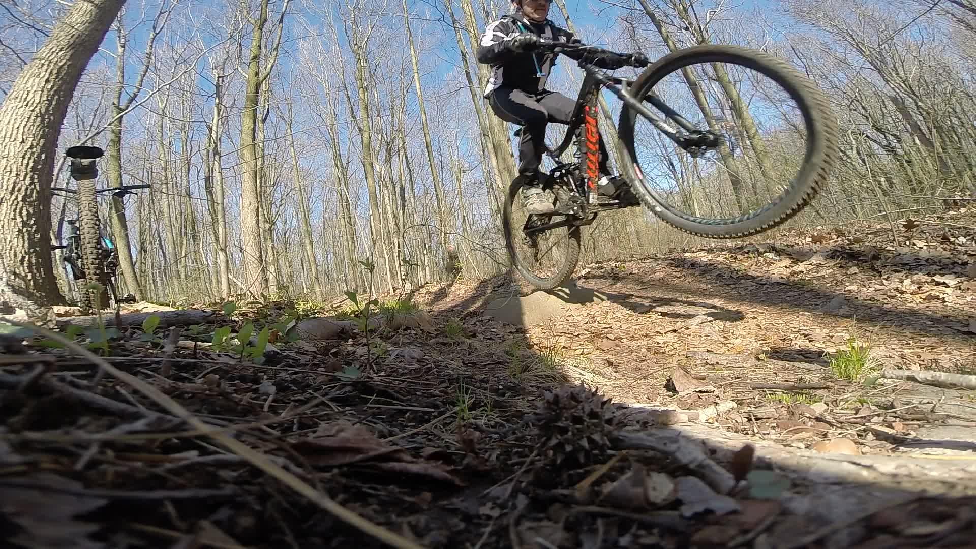 A person riding a mountain bike lifts the front wheel off the ground while navigating a dirt trail in a wooded area. The scene captures the motion and excitement of mountain biking with trees in the background and leaves scattered on the ground. Richmond Avenue and Forest Hill road mountain bike trail.