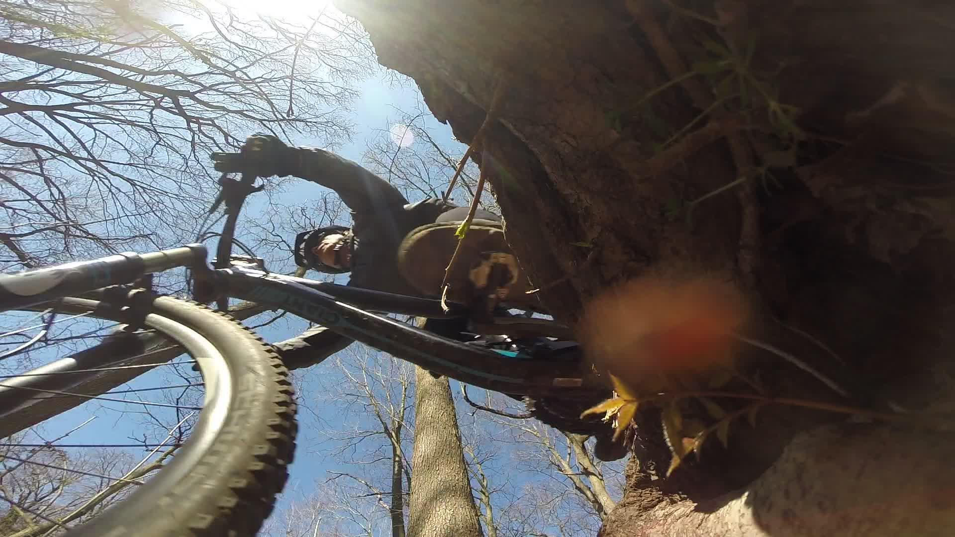 A low-angle view of a mountain biker navigating a trail, with trees and blue sky above. The cyclist is dressed in a helmet and gear, captured mid-ride as the bike's front wheel approaches the viewer, showcasing the surrounding nature and the thrill of outdoor biking. Richmond Avenue and Forest Hill road mountain bike trail.