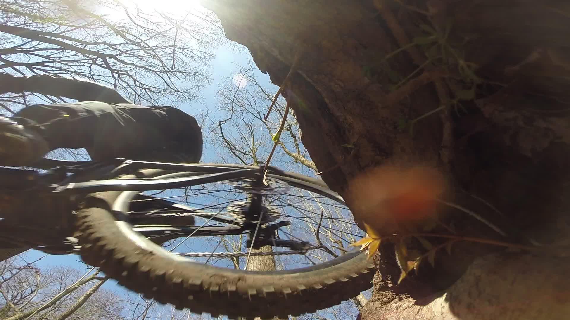 A mountain biker captured from a low angle, riding along a forest trail. The view includes the bike's wheel and part of the rider, with a tree trunk visible nearby. The background features a clear blue sky and barren branches, indicating a late winter or early spring setting. Richmond Avenue and Forest Hill road mountain bike trail.