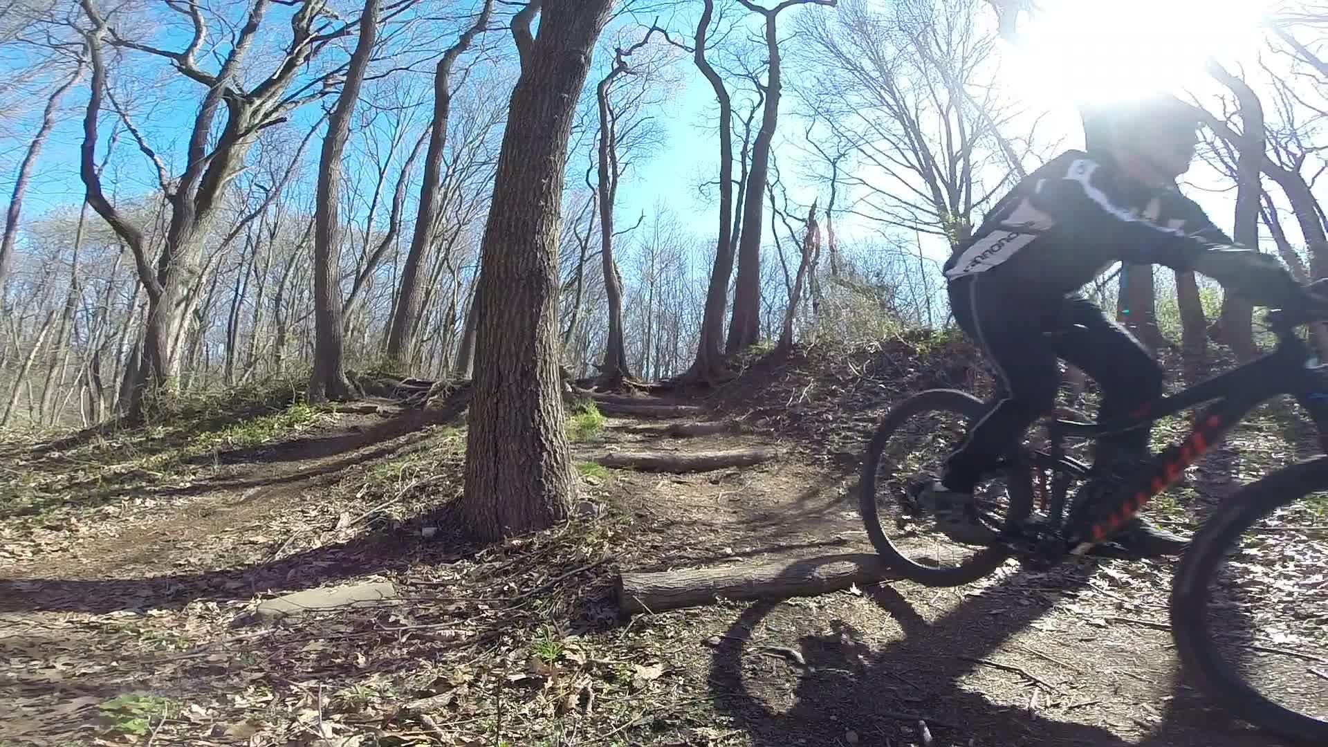 A mountain biker rides along a natural trail in a wooded area, navigating over logs and uneven terrain, with leafless trees and a clear blue sky in the background. The sun is shining brightly, creating a lens flare effect. Richmond Avenue and Forest Hill road mountain bike trail.