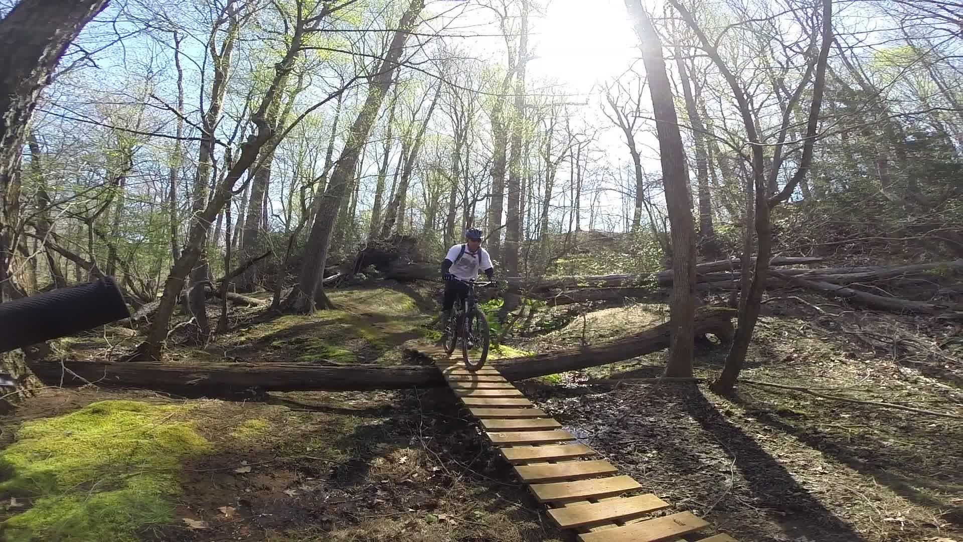 A mountain biker riding across a wooden bridge over a small stream in a forest. Sunlight filters through the trees, illuminating the scene with green foliage and a natural, earthy setting. Allaire State Park mountain bike trail.