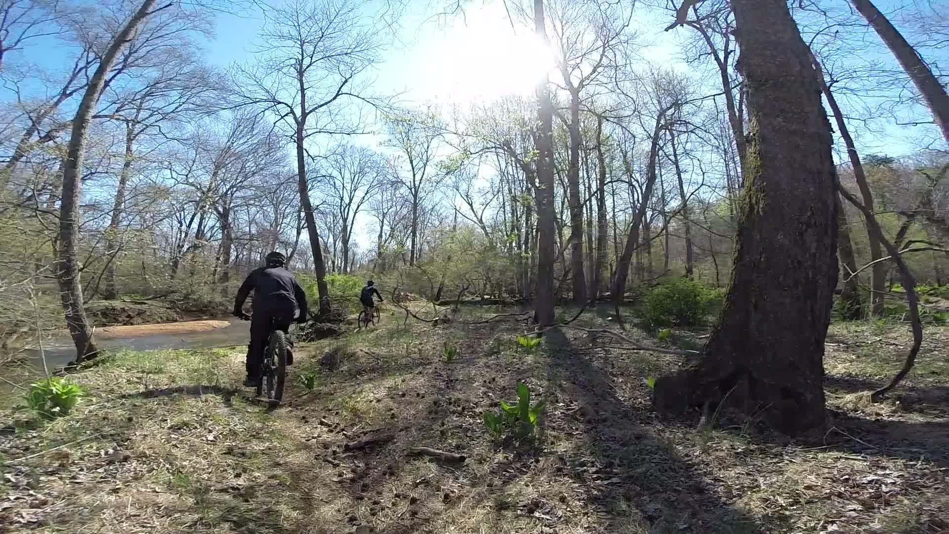 Two mountain bikers riding on a trail through a wooded area beside a stream. Bright sunlight filters through the trees, illuminating the landscape, which features bare branches and emerging greenery. Allaire State Park mountain bike trail.
