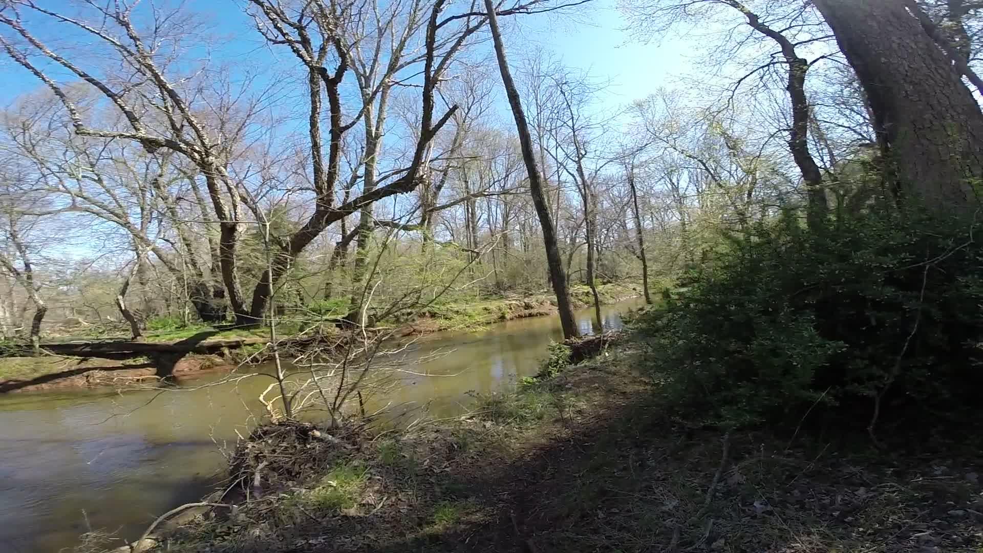 A serene forest scene depicting a calm river flowing through a wooded area, surrounded by bare trees and greenery. The sky is clear and blue, indicating a sunny day. A pathway alongside the river is partially visible, inviting exploration of the natural surroundings. Allaire State Park mountain bike trail.