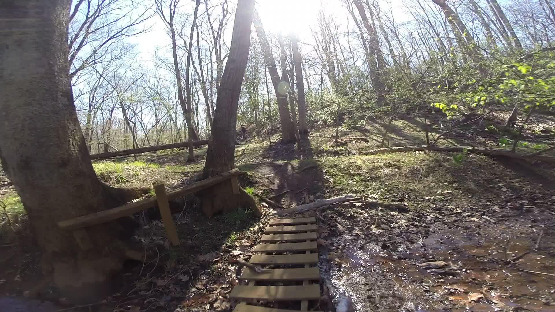 A wooden footbridge crossing a small stream, surrounded by bare trees and green underbrush, with sunlight filtering through the branches in a tranquil forest setting. Allaire State Park mountain bike trail.
