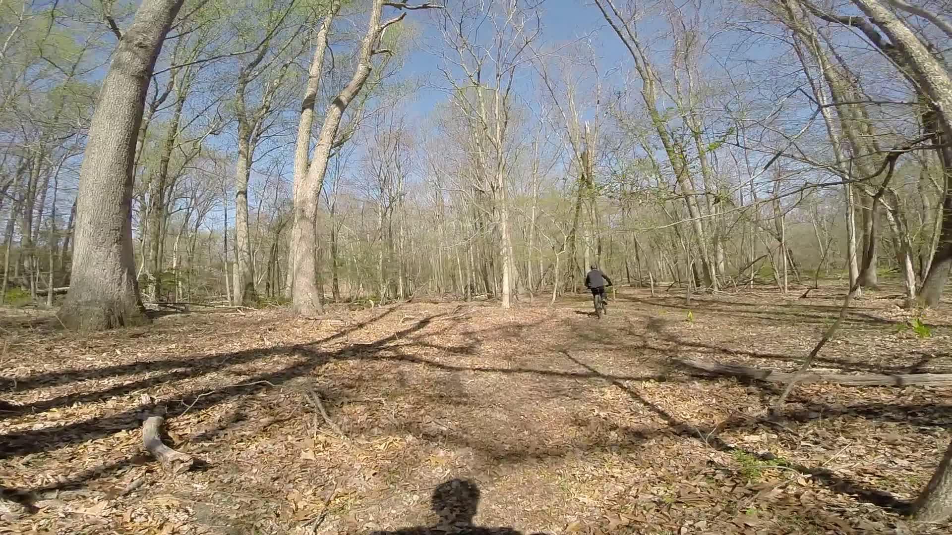 A person riding a bicycle along a dirt path in a wooded area, surrounded by tall trees and scattered fallen leaves. It is a sunny day with a clear blue sky. Allaire State Park mountain bike trail.