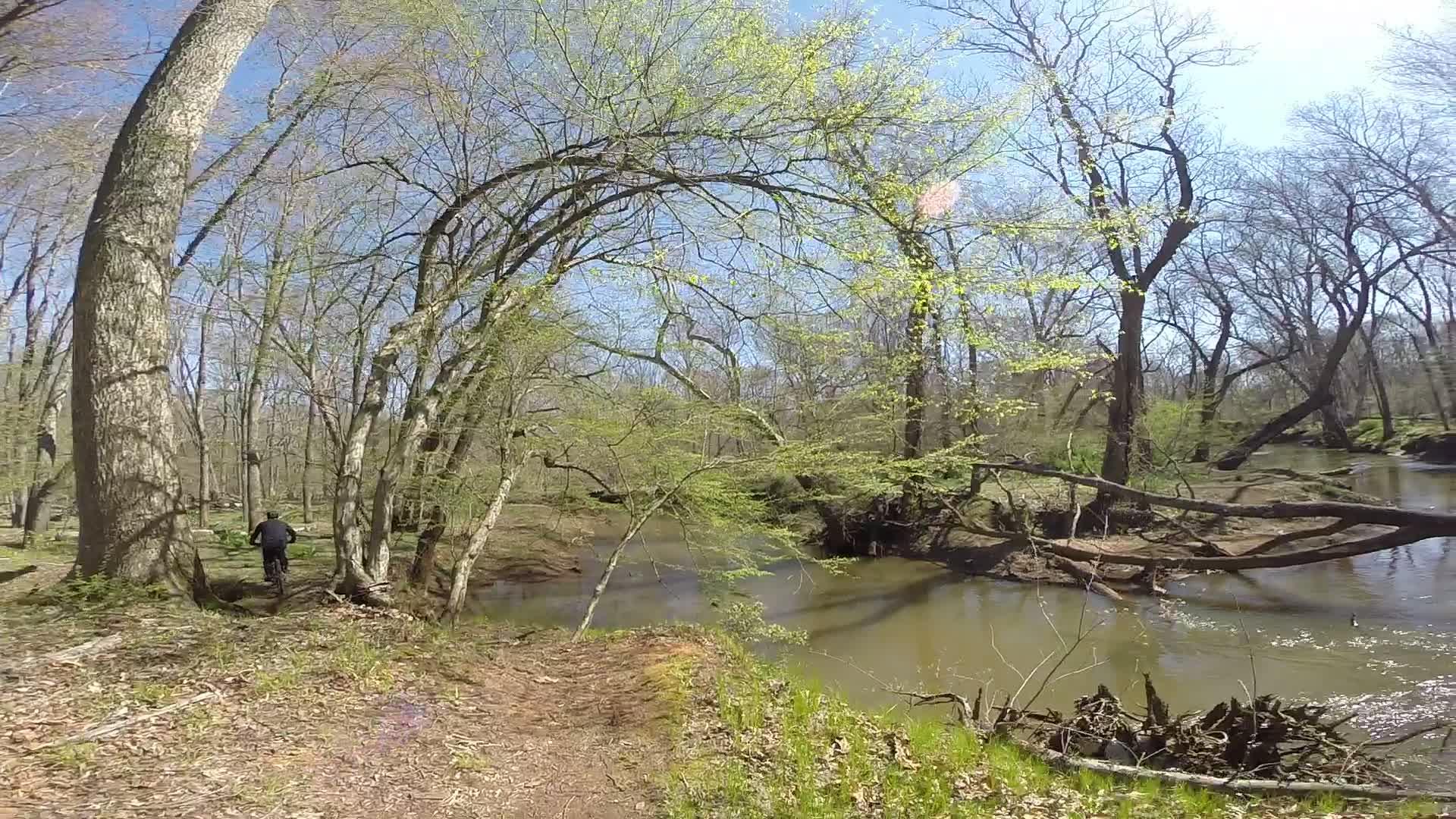 A cyclist riding along a dirt path beside a calm river, surrounded by trees and budding foliage under a clear blue sky. Allaire State Park mountain bike trail.