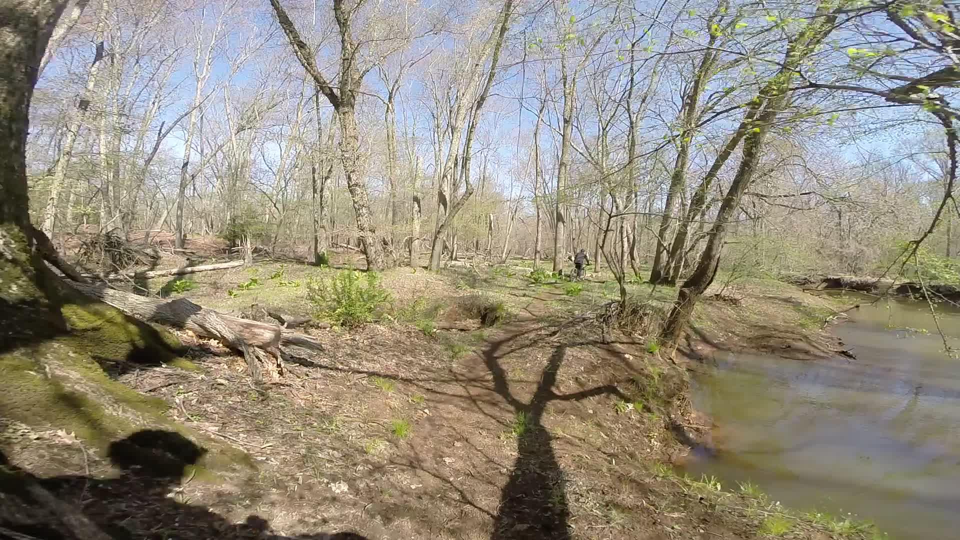 A serene forest scene featuring a winding riverbank surrounded by trees. In the foreground, the muddy ground is dotted with fresh green plants, while several fallen tree branches can be seen. The background includes a mix of barren trees and the visible shadow of a tree extending across the ground. A person can be seen in the distance, engaged in outdoor activities under a clear blue sky. Allaire State Park mountain bike trail.