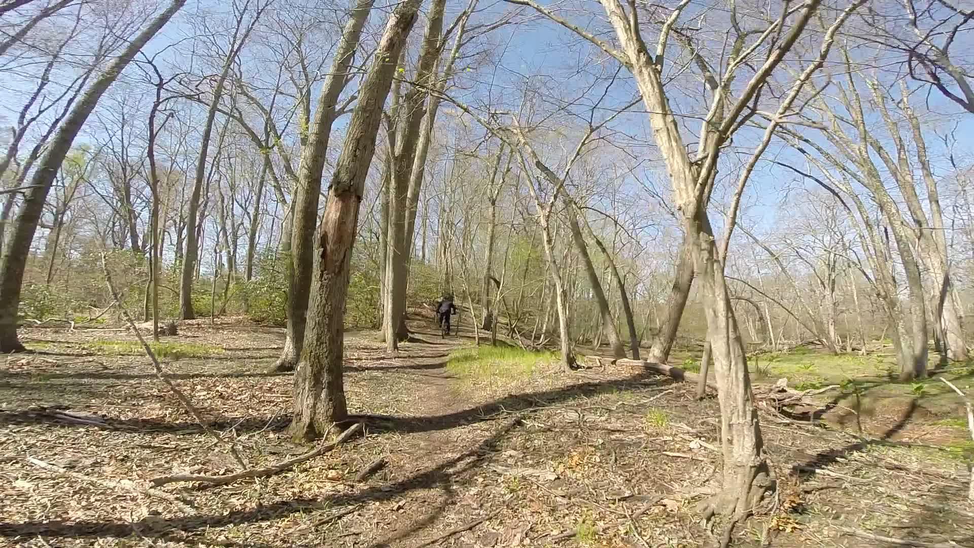 A scenic view of a wooded area with bare trees and a dirt path. Sunlight filters through the branches, casting shadows on the ground. A person is seen walking along the trail in the distance, surrounded by lush greenery and fallen leaves. Allaire State Park mountain bike trail.