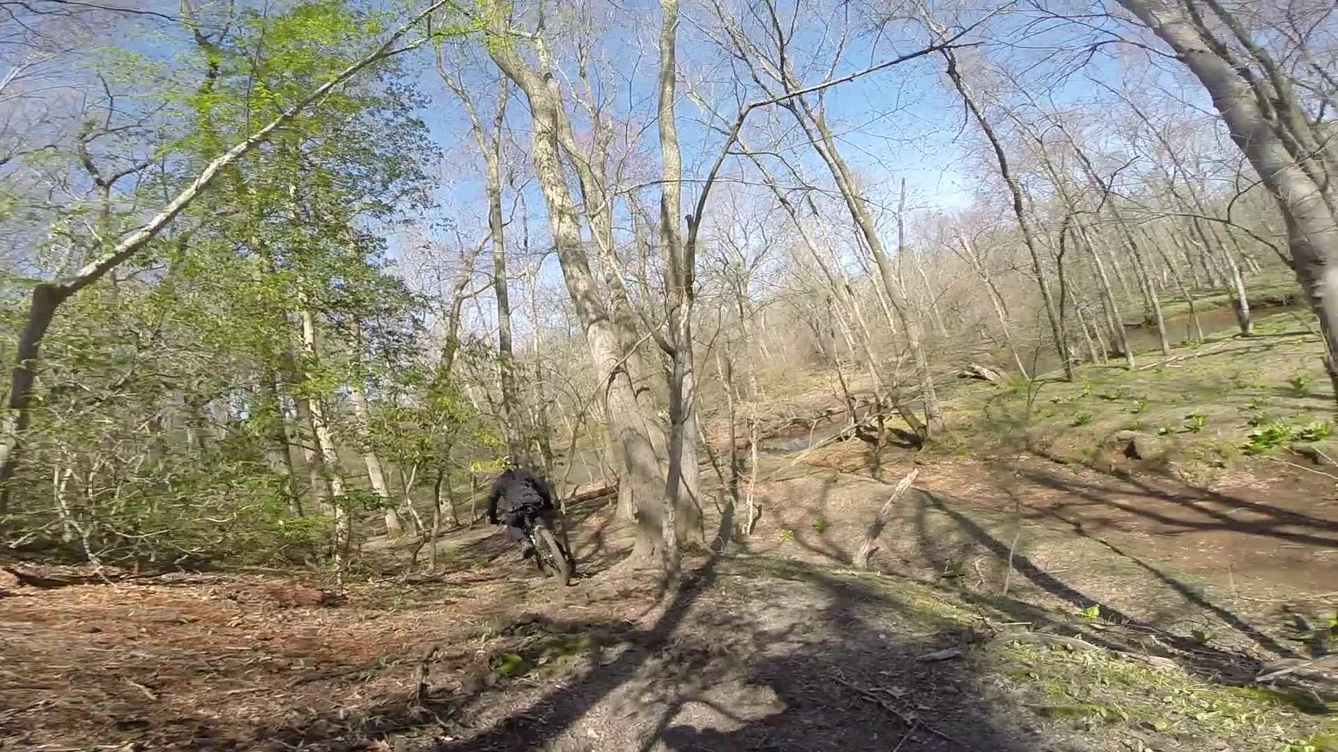 A mountain biker riding through a densely wooded area with tall trees and sparse foliage. The scene captures a mix of sunlight and shadows on the forest floor, creating a dynamic outdoor experience in nature. Allaire State Park mountain bike trail.