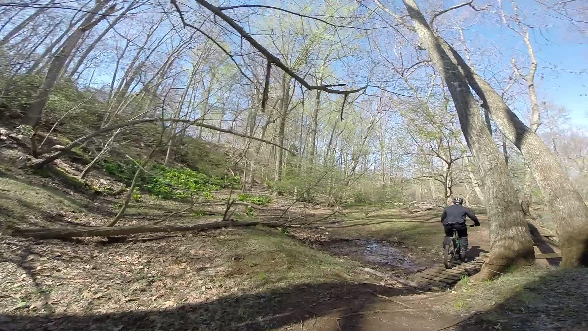 A person riding a mountain bike on a wooded trail surrounded by trees and greenery. The path includes a wooden bridge over a small stream, with early spring foliage visible in the background under a clear blue sky. Allaire State Park mountain bike trail.