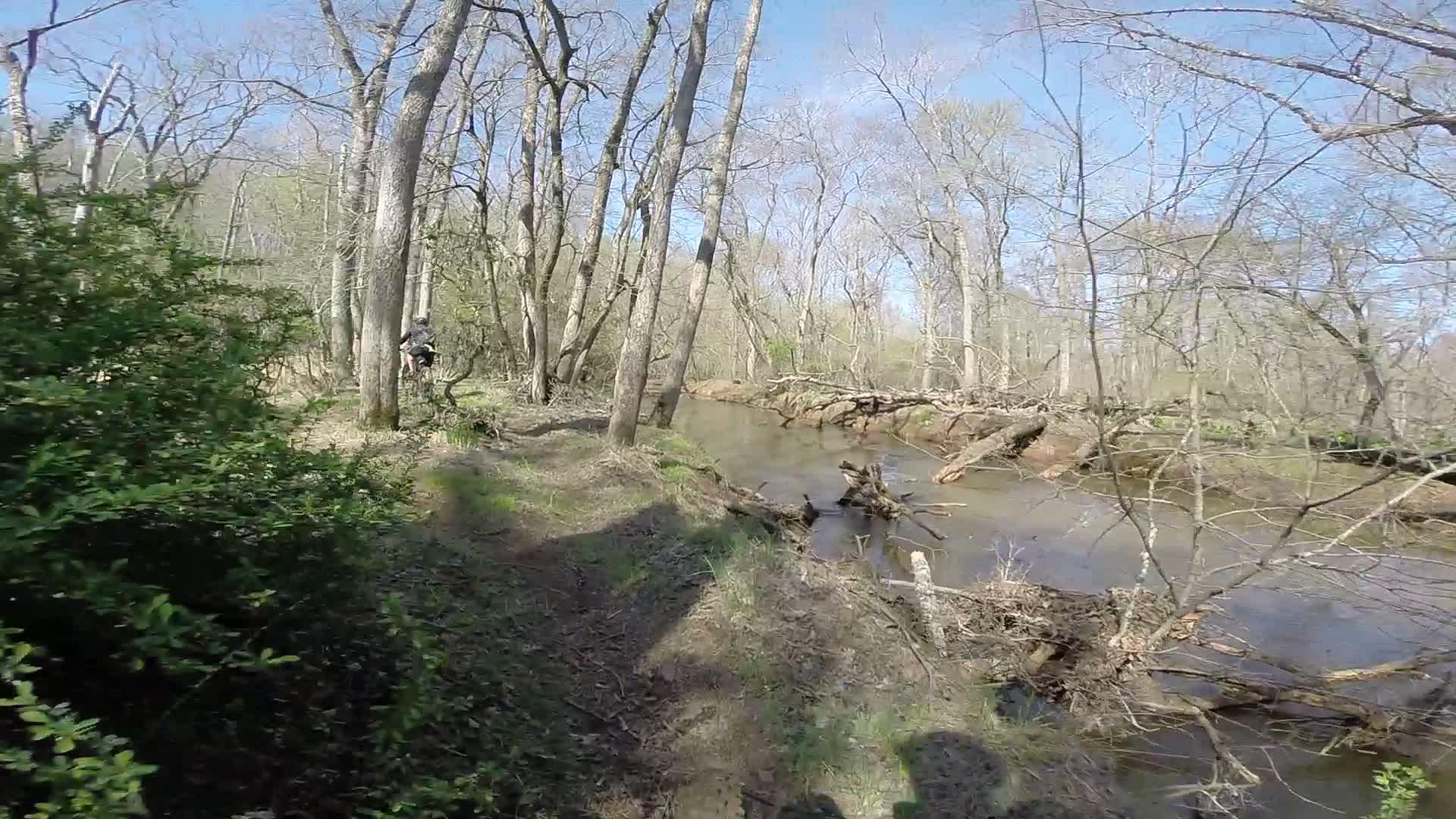 A serene outdoor scene featuring a narrow creek surrounded by lush greenery and tall trees with bare branches, indicating early spring. The sun is shining brightly in a clear blue sky. In the background, a cyclist can be seen riding along a dirt path beside the water. Allaire State Park mountain bike trail.