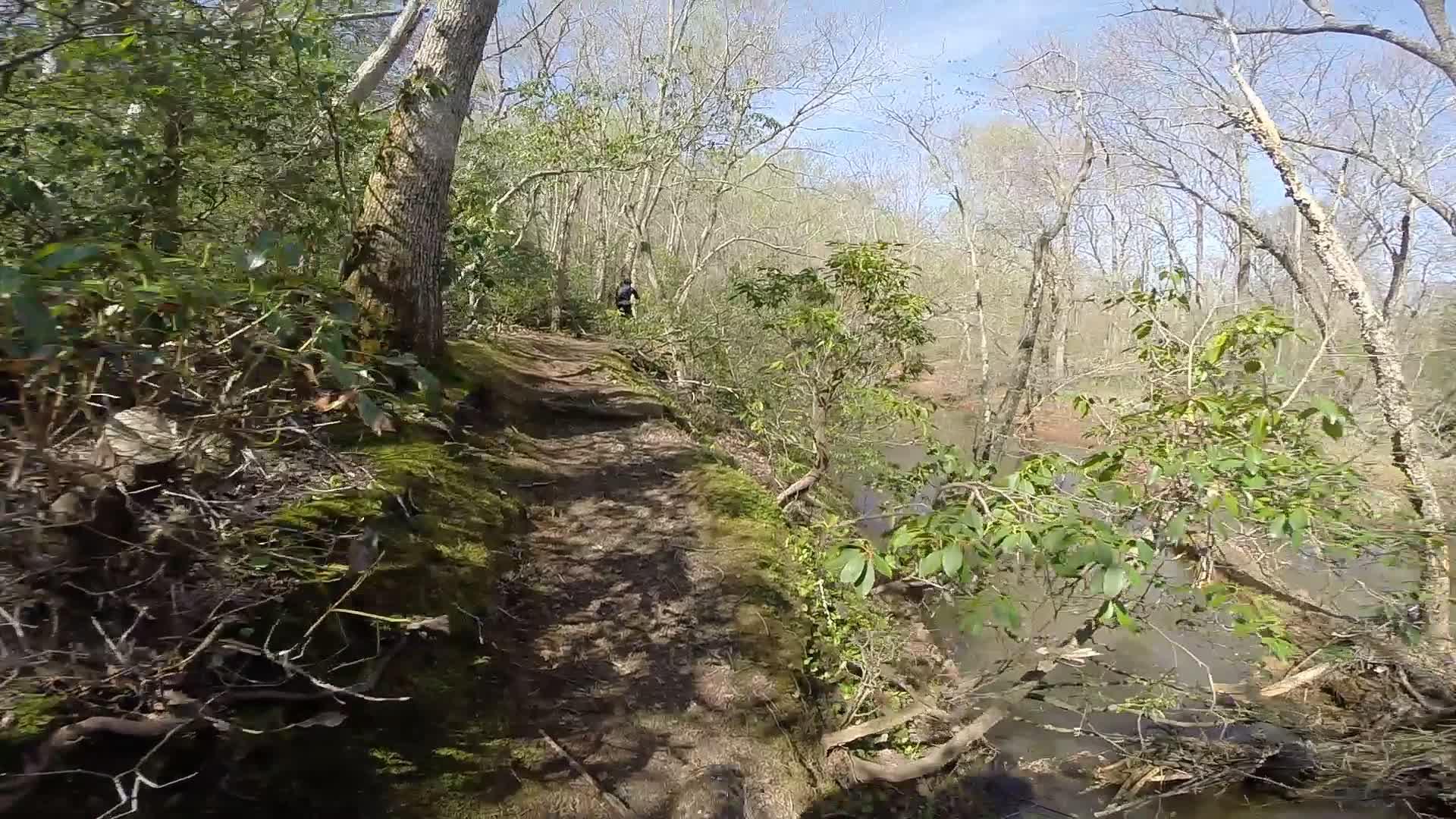 A narrow, winding trail bordered by lush greenery and bare trees, with a glimpse of a river on one side. A hiker can be seen in the distance walking along the path under a clear blue sky. Allaire State Park mountain bike trail.