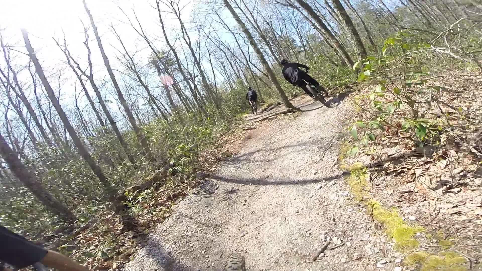 Two mountain bikers navigating a winding trail in a forested area, surrounded by tall, bare trees and greenery. The sun shines brightly, casting shadows on the gravel path. Allaire State Park mountain bike trail.