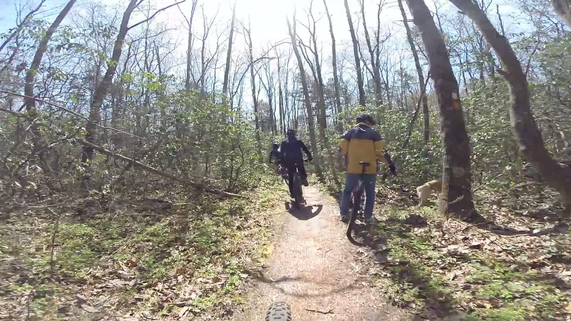 Two individuals walking along a narrow dirt trail in a forest, surrounded by bare trees and green foliage. One person is riding a bicycle, while the other walks alongside. Sunlight filters through the branches, casting a warm glow on the scene. A dog is seen near a tree on the right side of the path. Allaire State Park mountain bike trail.