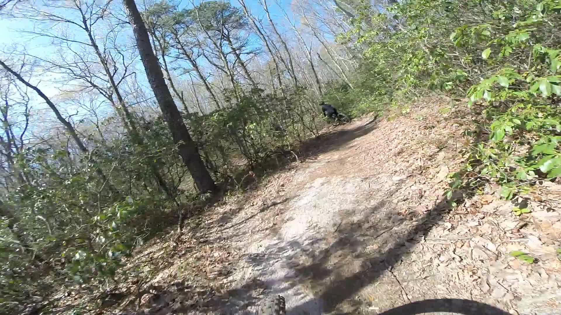 A cyclist riding on a dirt trail surrounded by trees and greenery, with a clear blue sky above. The path is slightly uneven, indicating a natural outdoor setting for biking. Allaire State Park mountain bike trail.