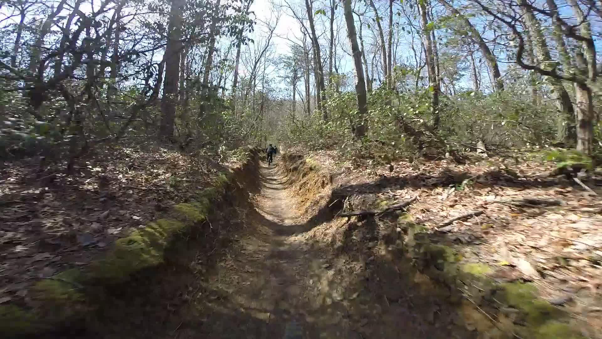 A winding dirt trail through a forest with tall trees, scattered leaves, and a clear sky. The path is flanked by grassy edges and appears well-trodden. In the distance, a figure can be seen walking along the trail. Allaire State Park mountain bike trail.