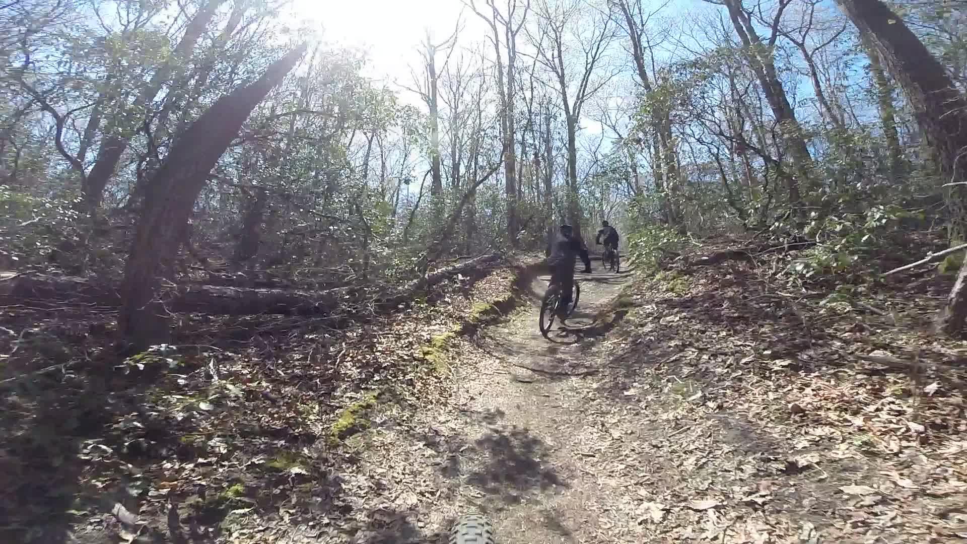 Two mountain bikers riding on a narrow trail through a wooded area on a sunny day. Sparse trees and underbrush are visible, with patches of sunlight filtering through the branches. The path is lined with fallen leaves and small plants. Allaire State Park mountain bike trail.