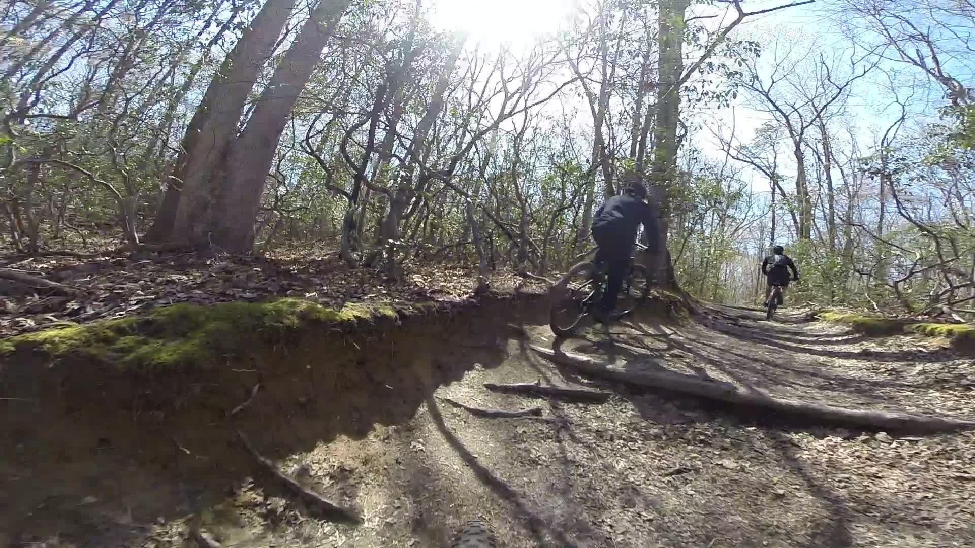 A mountain biker navigating a dirt trail with roots and uneven terrain in a sunlit forest, showcasing the natural surroundings of trees and underbrush. Allaire State Park mountain bike trail.