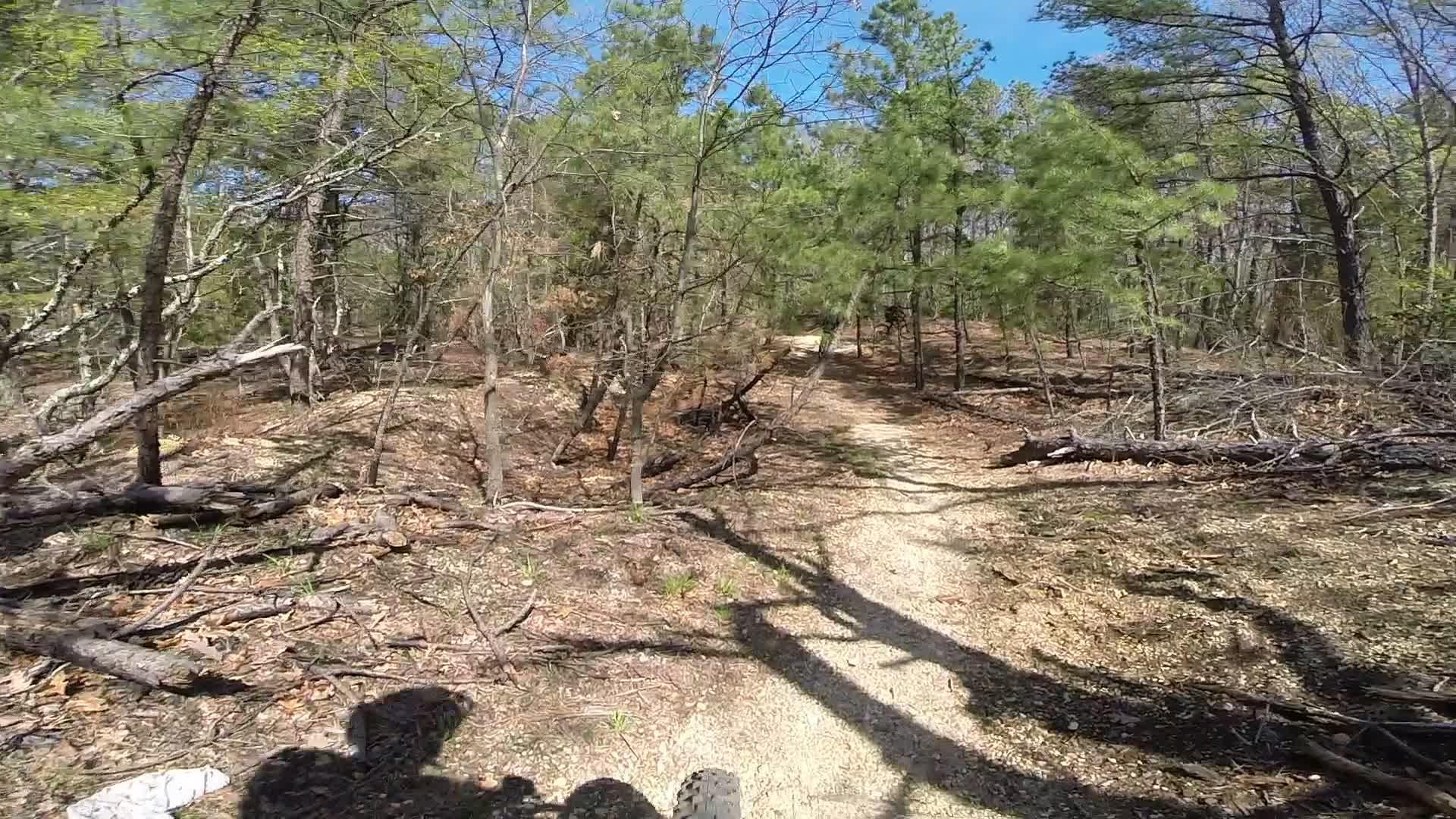 A dirt trail winding through a forested area with trees and fallen branches on either side, under a clear blue sky. The image captures the natural scenery of a woodland path, inviting outdoor exploration. Allaire State Park mountain bike trail.